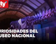 Descubre el turismo cultural en La Haya: visita sus museos de arte e historia