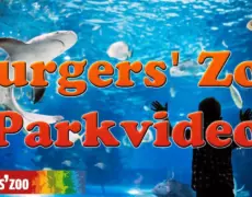 Descubre la experiencia única de turismo en Burgers’ Zoo: una aventura salvaje en tu próximo viaje