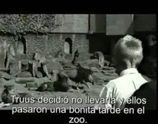 Descubre el turismo histórico en Ámsterdam: Explorando el Museo de la Resistencia