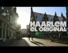Descubre los encantos de Haarlem: el destino perfecto para tu próximo viaje de turismo