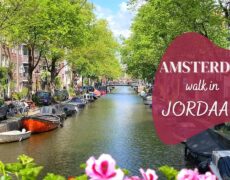 Descubre el encanto del Jordaan District en tu próximo viaje a Ámsterdam