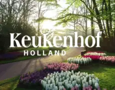 Descubre la magia de los Keukenhof Gardens en tu próximo viaje a Lisse