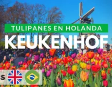 Descubre la magia de los Keukenhof Gardens: una visita imprescindible en tu viaje por Holanda