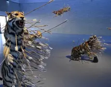 Descubre el impresionante Kroller-Muller Museum en tu próximo viaje de turismo