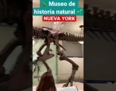 Descubre el fascinante Museo de Historia Natural en Leiden: una joya del turismo científico