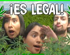 Descubre el turismo cannábico en Ámsterdam: El famoso Museo de la Cannabis