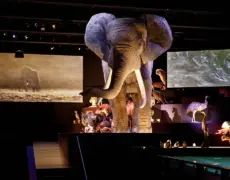 Descubre la riqueza de biodiversidad en Naturalis: el destino ideal para un viaje turístico