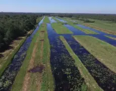Descubre la belleza natural de Holanda con una emocionante excursión en canoa por el Parque Nacional Weerribben-Wieden: ¡una experiencia de turismo imperdible!