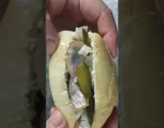 Delicioso Broodje Haring: Descubre cómo preparar la mejor receta en casa