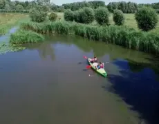Descubre el turismo natural en el Parque Nacional De Biesbosch: Una guía de viaje imperdible