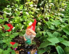 Descubre la belleza de Dordrecht: guía de turismo y viaje