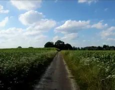 Descubre los encantos de Valkenswaard: Turismo, Viaje y Aventura