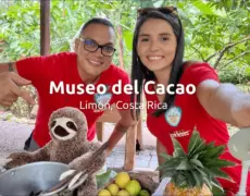 Descubre el fascinante turismo del cacao y el chocolate en este viaje al Museo